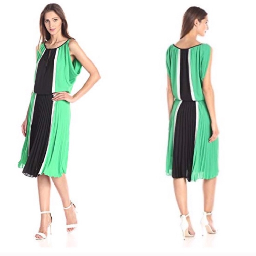 BCBGMAXAZRIA’s Iona Colorblock Pleat Dress